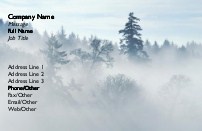 Foggy Forest