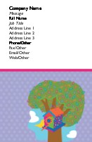 Psychedelic Birdhouse Full Colour Business Cards