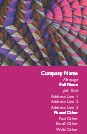 Spinning Pyramids Full Colour Business Cards