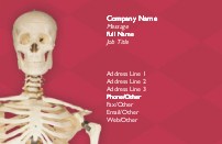Mr. Bones