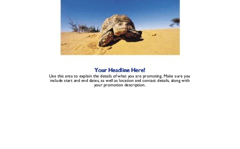 Turtle on Sand Full Colour Oversized Postcards