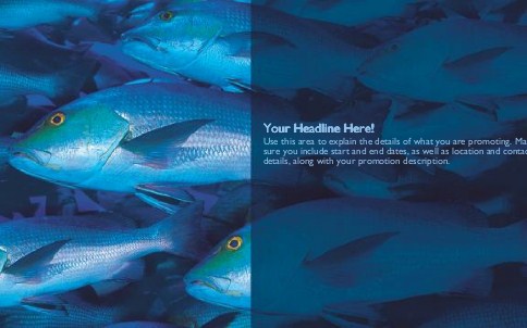 Big Catch Full Colour Oversized Postcards