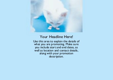 Cat Eating Treats Full Colour Standard Sized Postcards