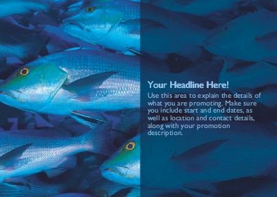 Big Catch Full Colour Standard Sized Postcards