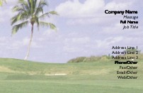 Palm Tree and Green Grass