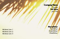 Sunny day Full Colour Magnetic Business Cards