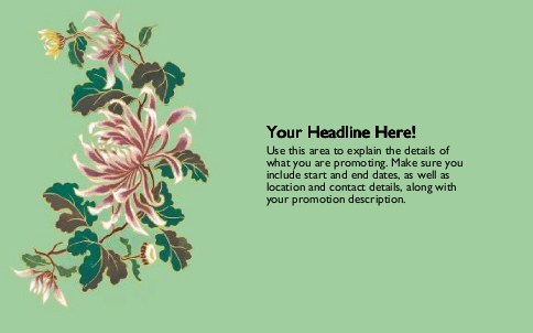 Spider Flower Full Colour Oversized Postcards
