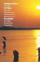 Heron At Sunset Full Colour Business Cards