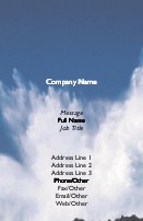 Mighty Spray Full Colour Business Cards