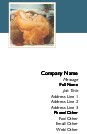 Flaming Full Colour Business Cards