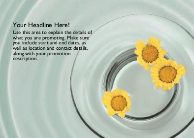 Shimmering Daisies Full Colour Standard Sized Postcards