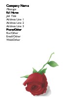 One Rose Full Colour Business Cards