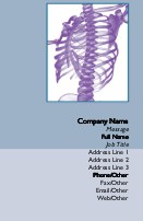 Skeletal Image