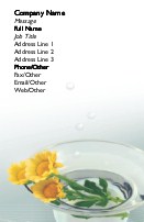 Striking Centrepiece Full Colour Business Cards