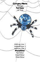 Spider in Web