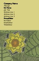Graphic Rainforest Recycled Business Cards