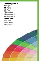 Paint Colours Full Colour Business Cards