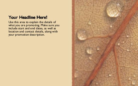 Veined Leaf Full Colour Oversized Postcards