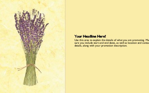 Lavender Flowers Full Colour Oversized Postcards