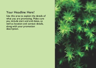 Green Star Plant Full Colour Standard Sized Postcards