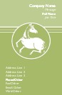 Year of the Horse Full Colour Business Cards