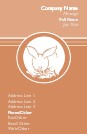 Year of the Rabbit Full Colour Business Cards