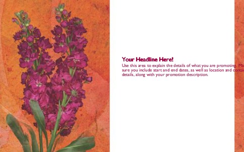 Beautiful Flowers Full Colour Oversized Postcards