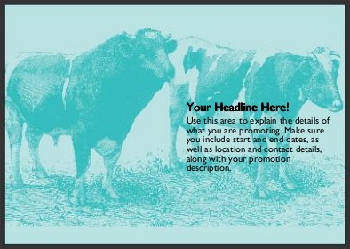 Bull and Cow Full Colour Standard Sized Postcards