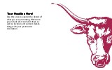 Bull's Head Full Colour Oversized Postcards