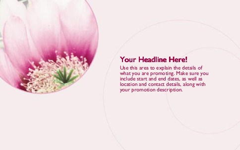 Flower in Focus Full Colour Oversized Postcards