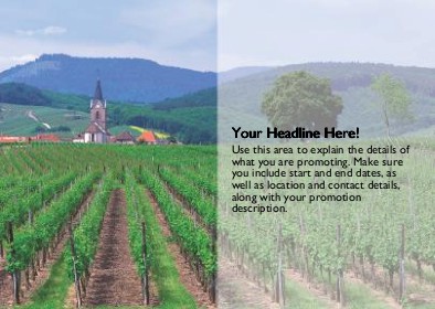 Vineyard Scene Full Colour Standard Sized Postcards