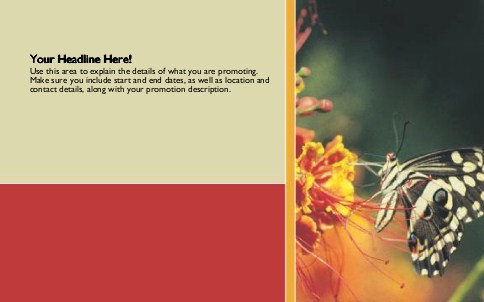 Butterfly Bliss Full Colour Oversized Postcards
