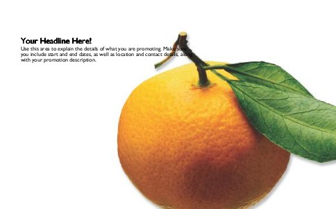 Orange off the Tree Full Colour Oversized Postcards