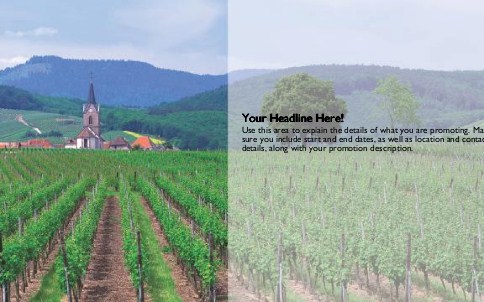 Vineyard Scene Full Colour Oversized Postcards