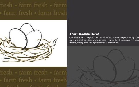 Farm Fresh Eggs Full Colour Oversized Postcards