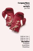 Close-Up of Boxing Glove Full Colour Business Cards