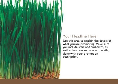 Wheat Grass Full Colour Standard Sized Postcards