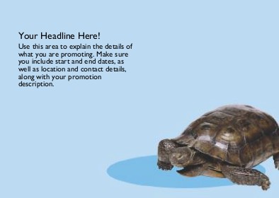 Tortoise Time Full Colour Standard Sized Postcards