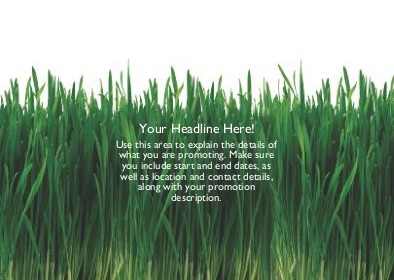 Tall Green Grass Full Colour Standard Sized Postcards