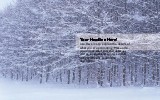 Nature's Beauty Full Colour Oversized Postcards