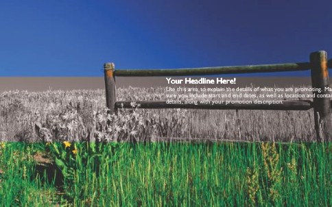 Meadow of Flowers Full Colour Oversized Postcards