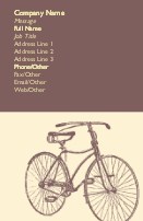Vintage Cycle