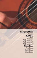 Guitar