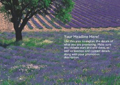 Field of Purple Flowers Full Colour Standard Sized Postcards