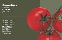 Tomato Trio