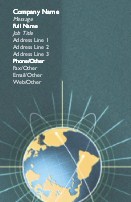 Globe Full Colour Business Cards