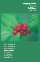 Red Berries