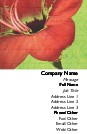 Amaryllis Full Colour Business Cards