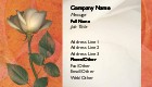One Rose