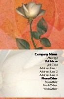 Ready for Love Full Colour Business Cards